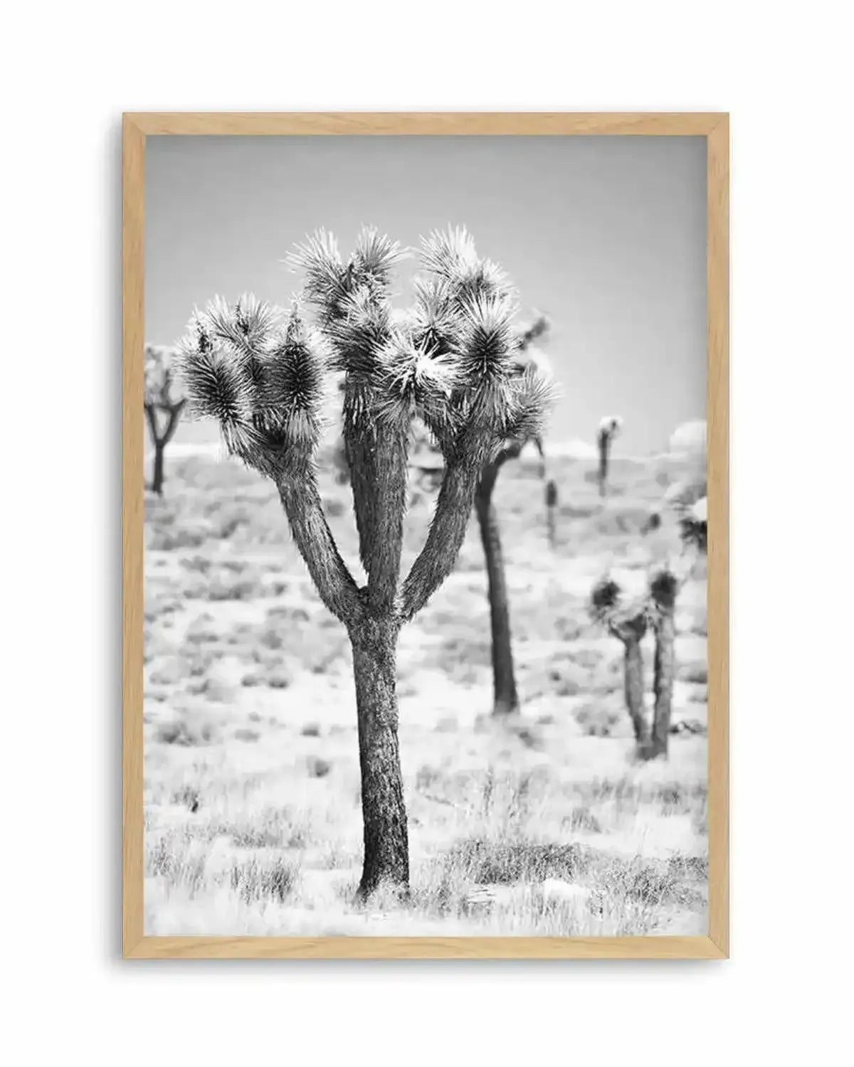 Joshua Tree II | B&W Art Print from Olive et Oriel where you can shop wallpaper and artworks online