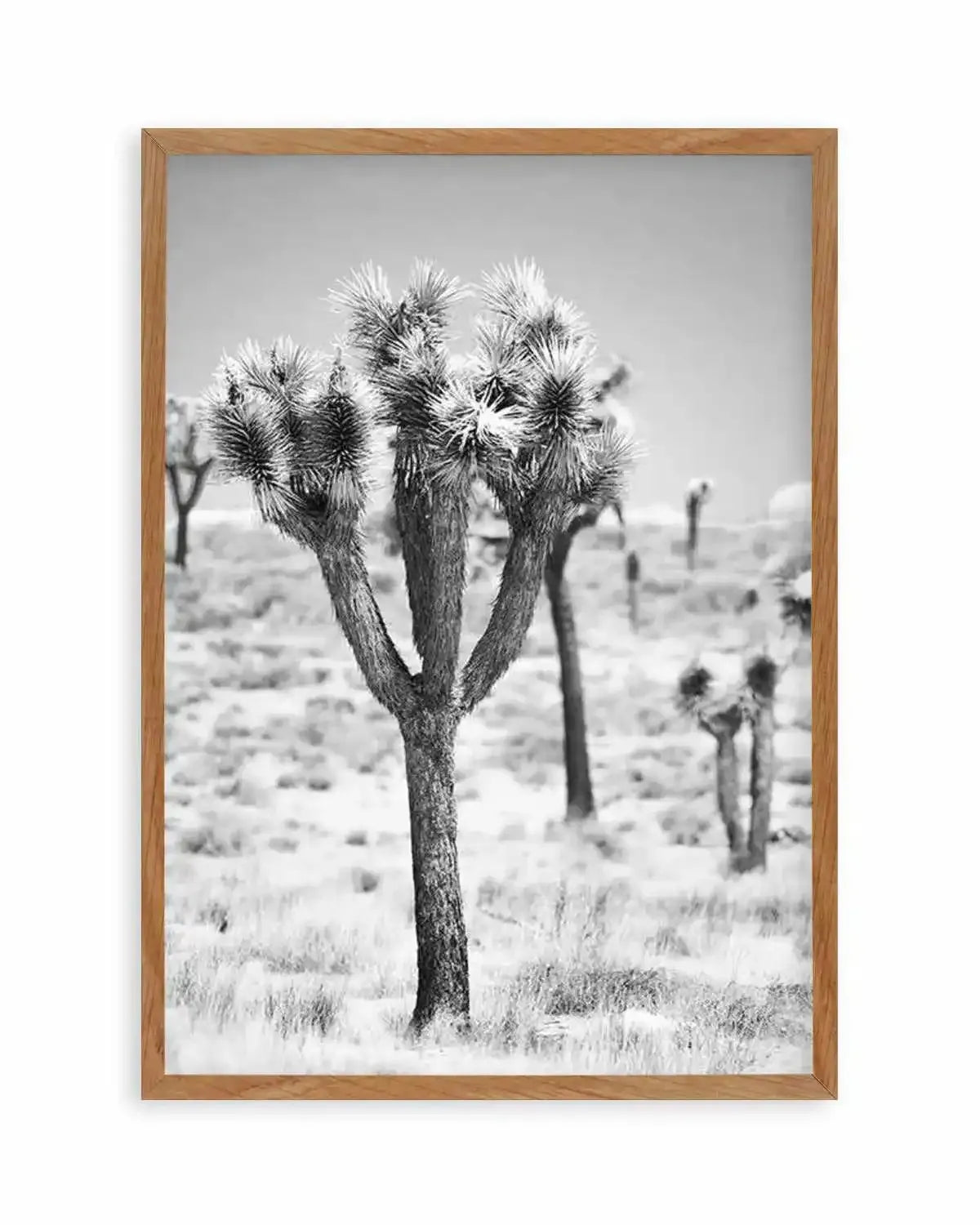 Joshua Tree II | B&W Art Print from Olive et Oriel where you can shop wallpaper and artworks online