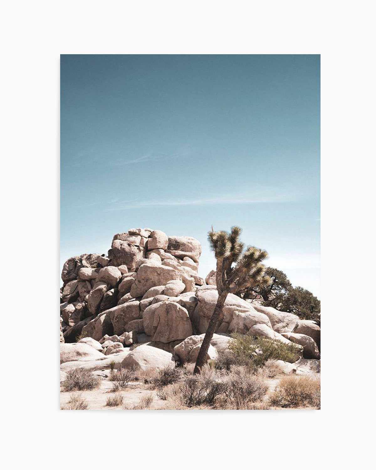 Joshua Tree II | Soft Art Print