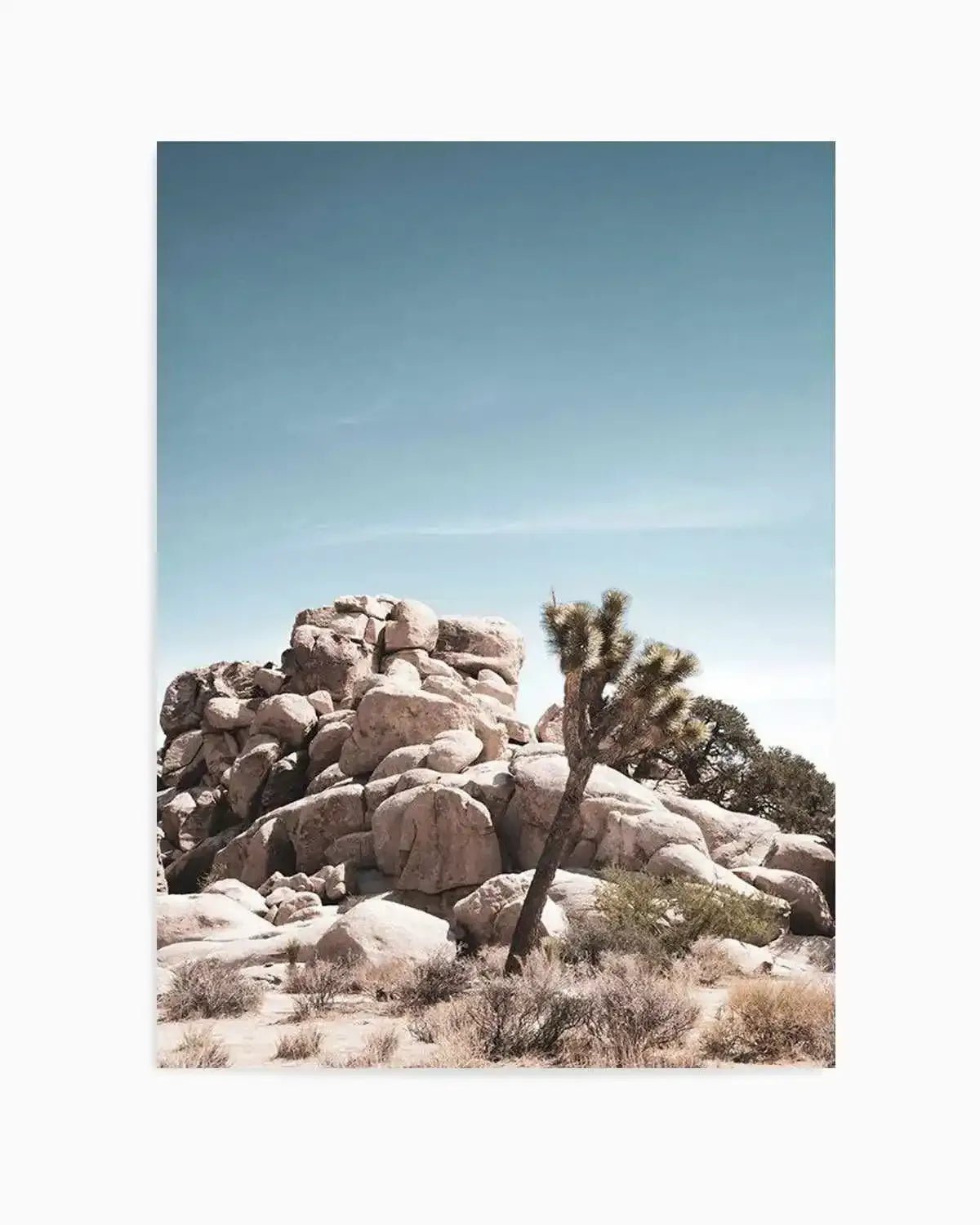 Joshua Tree II | Soft Art Print from Olive et Oriel where you can shop wallpaper and artworks online