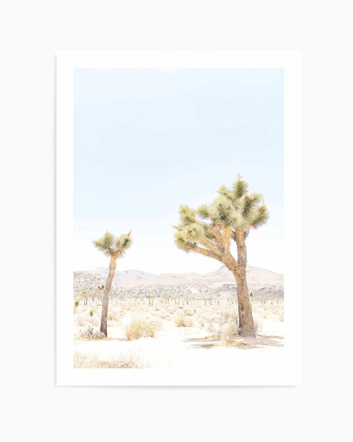 Joshua Tree II Art Print from Olive et Oriel where you can shop wallpaper and artworks online