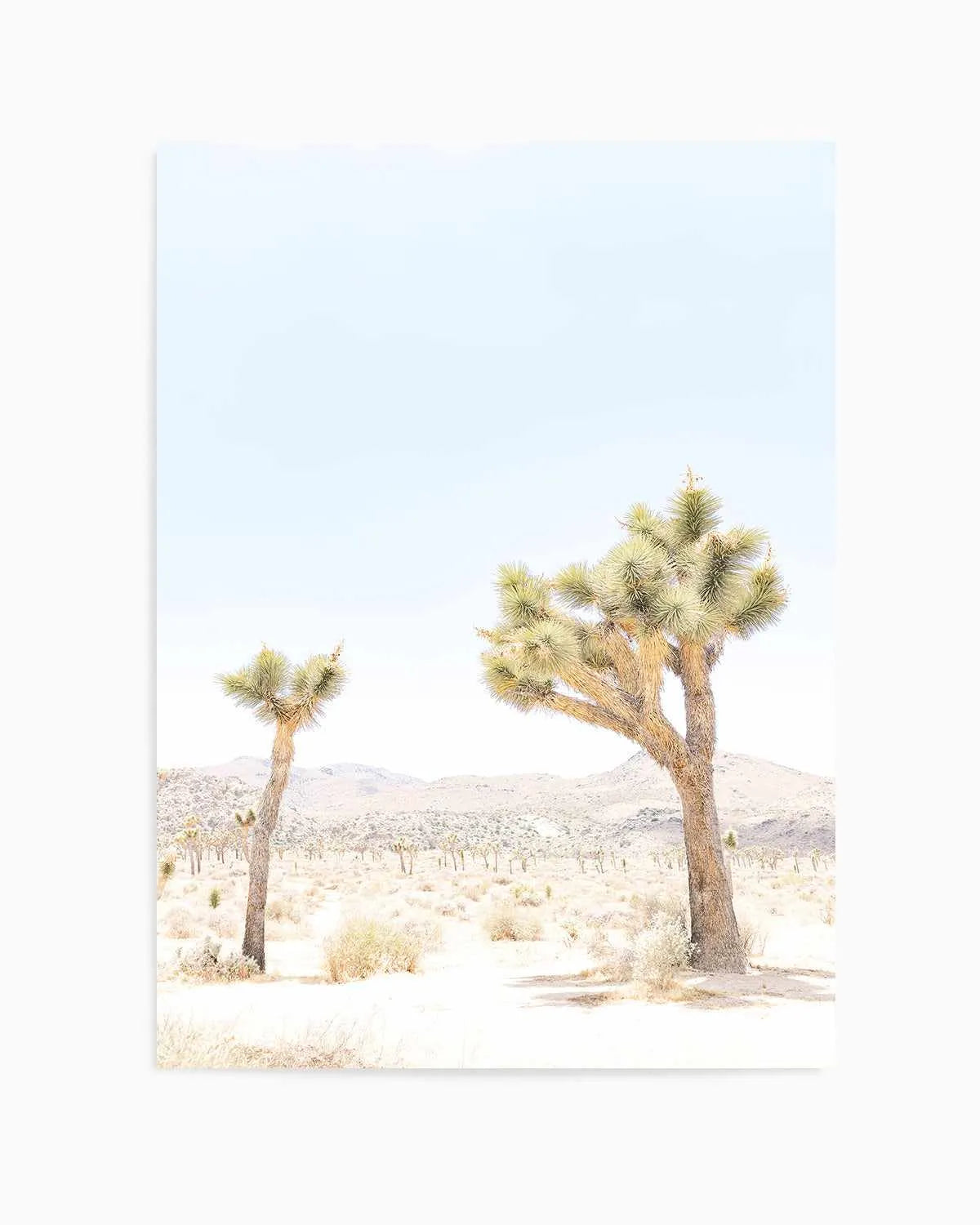 Joshua Tree II Art Print from Olive et Oriel where you can shop wallpaper and artworks online