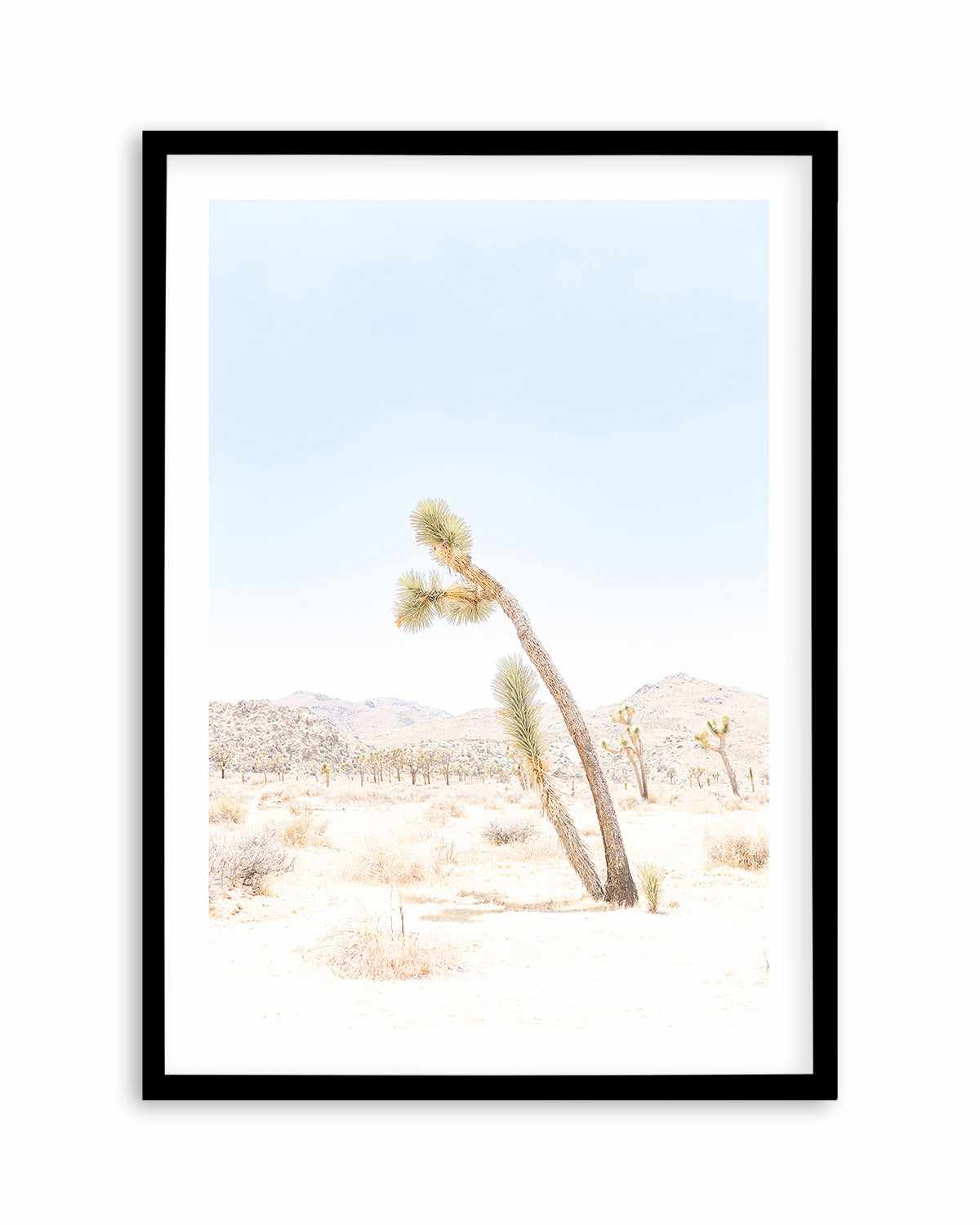 Joshua Tree III Art Print