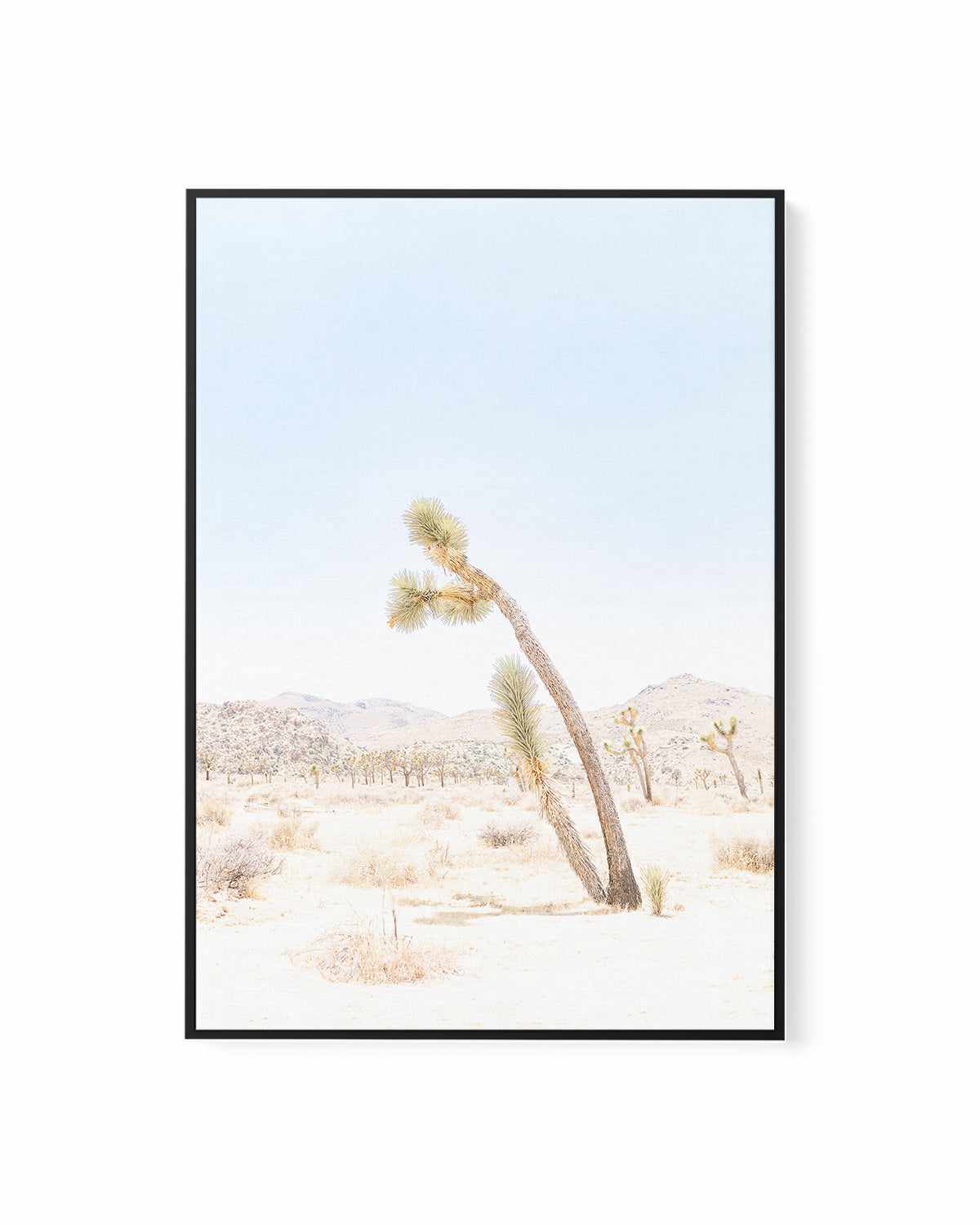 Joshua Tree III | Framed Canvas Art Print