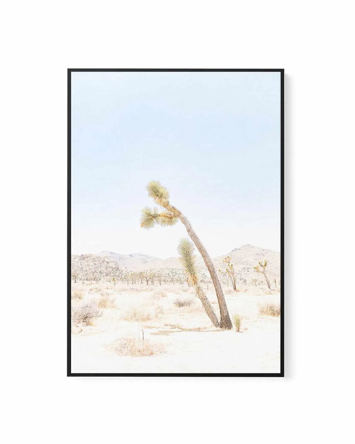 Joshua Tree III | Framed Canvas Art Print from Olive et Oriel where you can shop wallpaper and artworks online