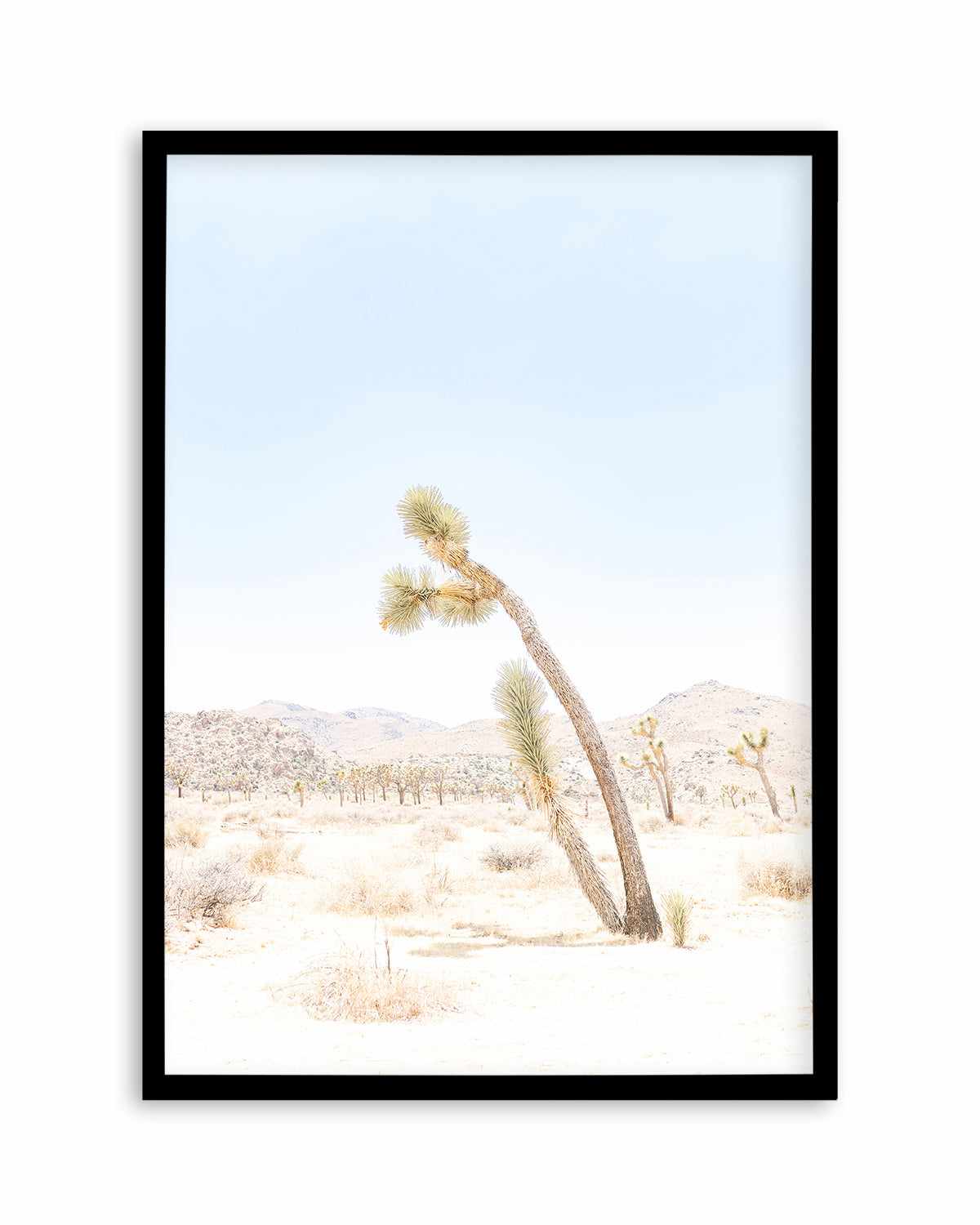 Joshua Tree III Art Print