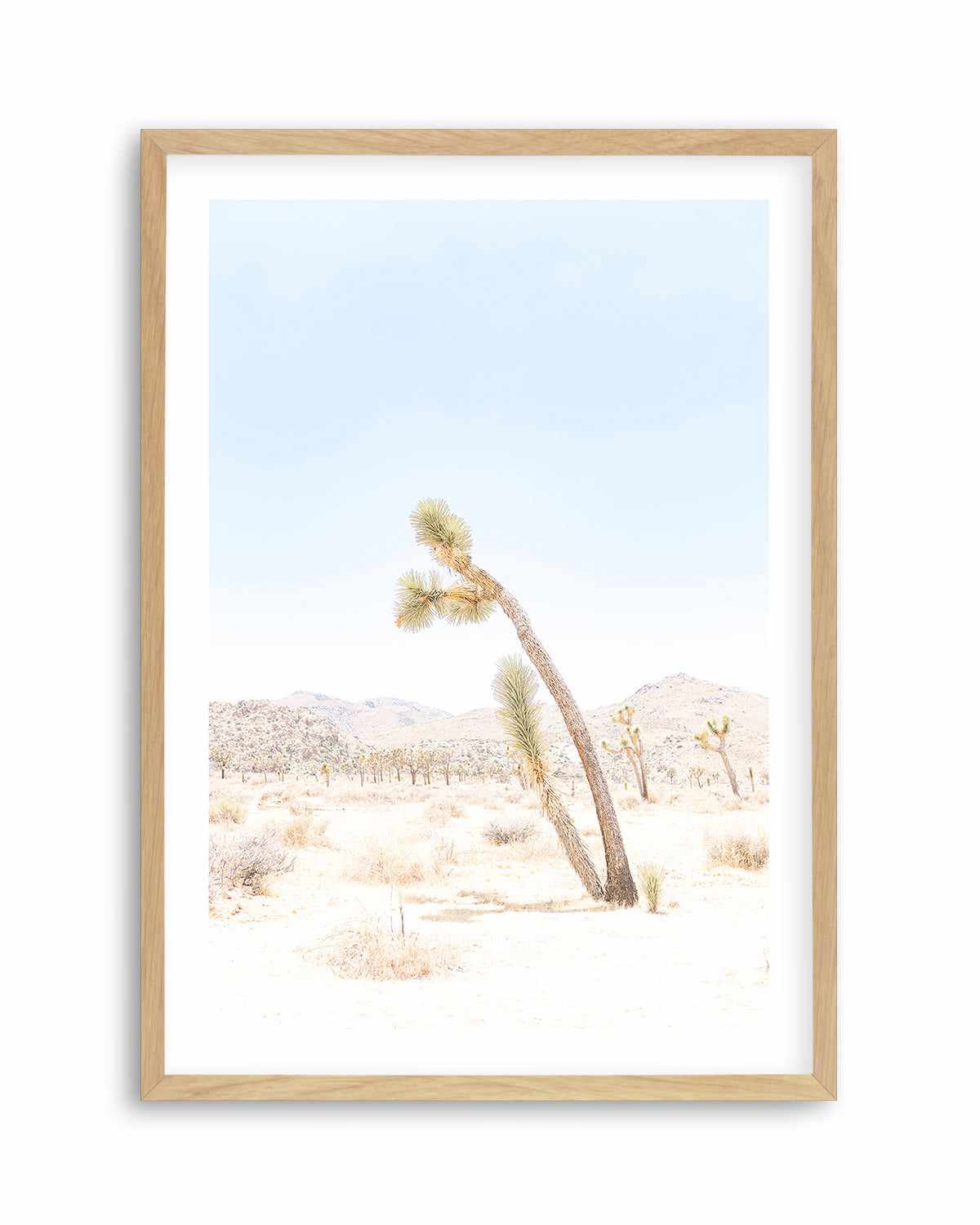 Joshua Tree III Art Print