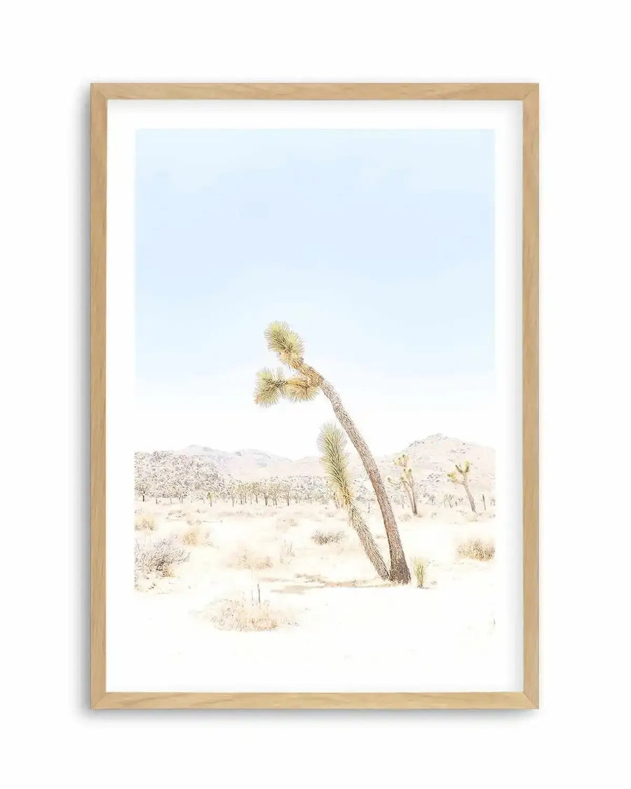 Joshua Tree III Art Print from Olive et Oriel where you can shop wallpaper and artworks online
