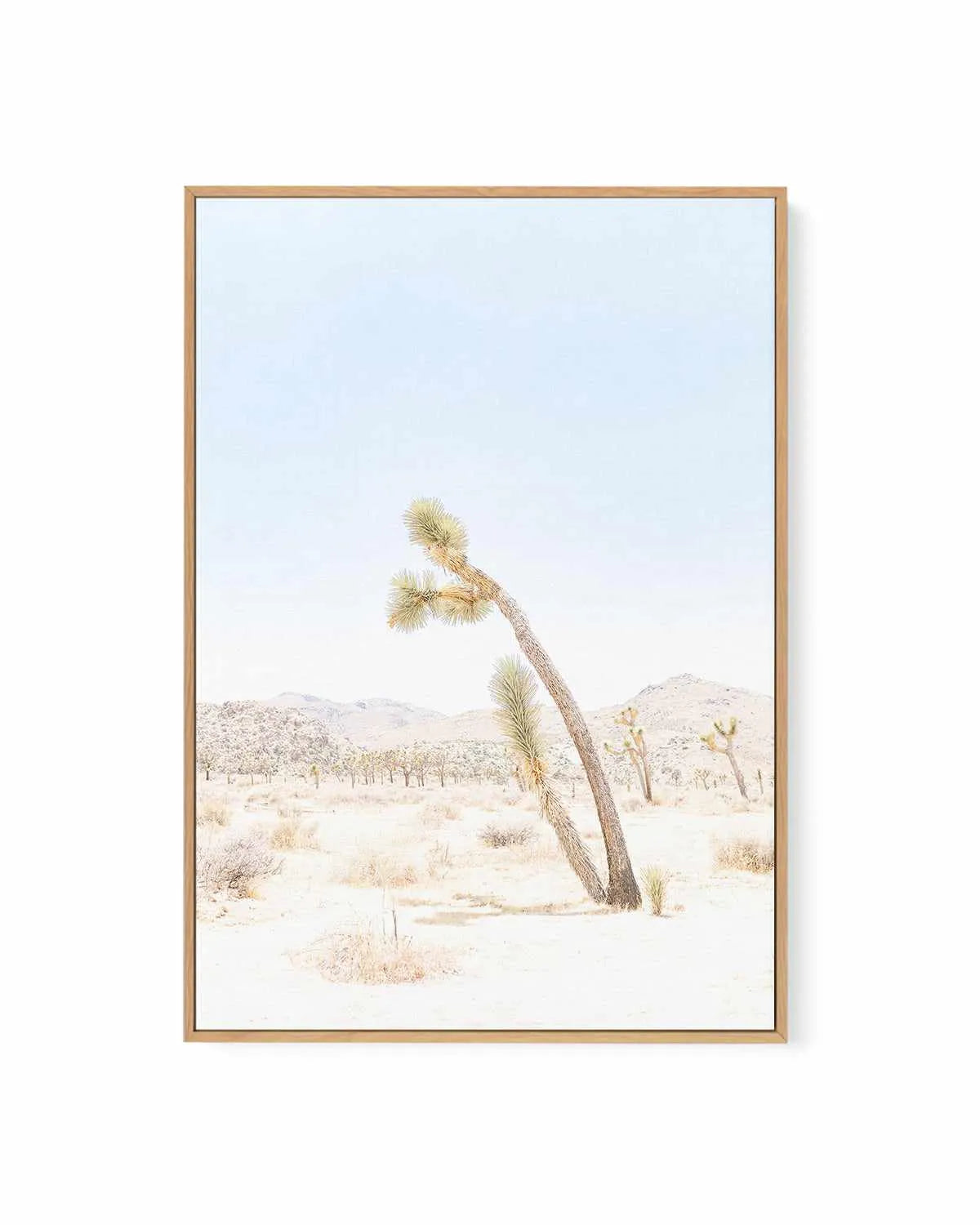 Joshua Tree III | Framed Canvas Art Print from Olive et Oriel where you can shop wallpaper and artworks online