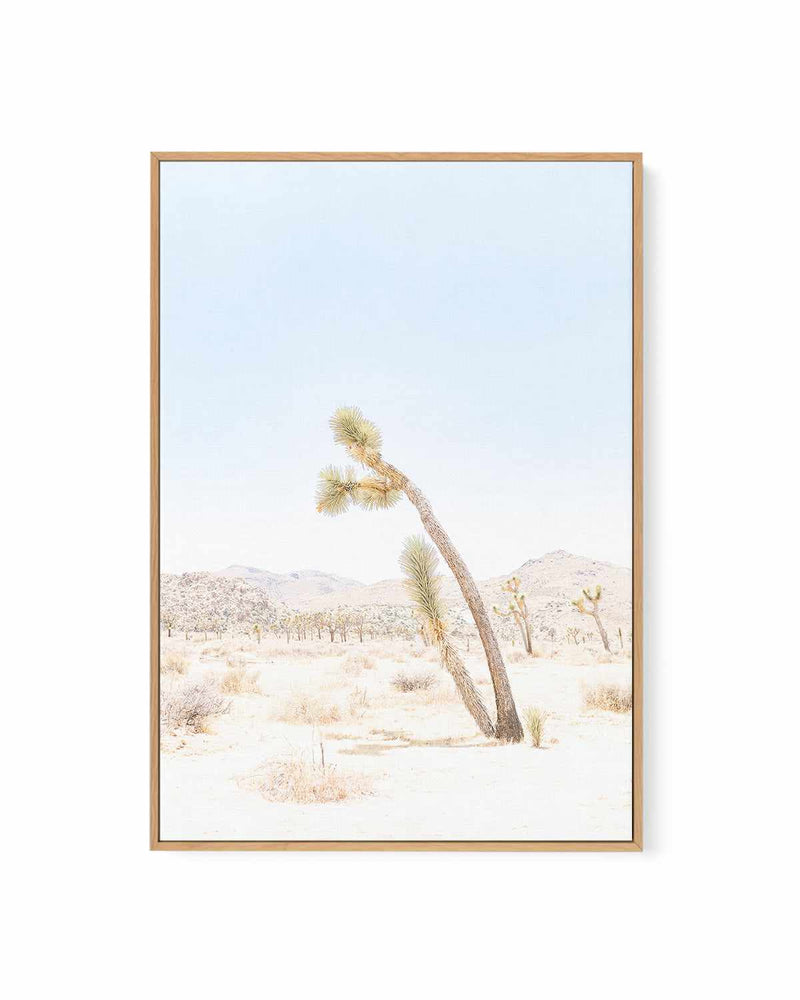 Joshua Tree III | Framed Canvas Art Print