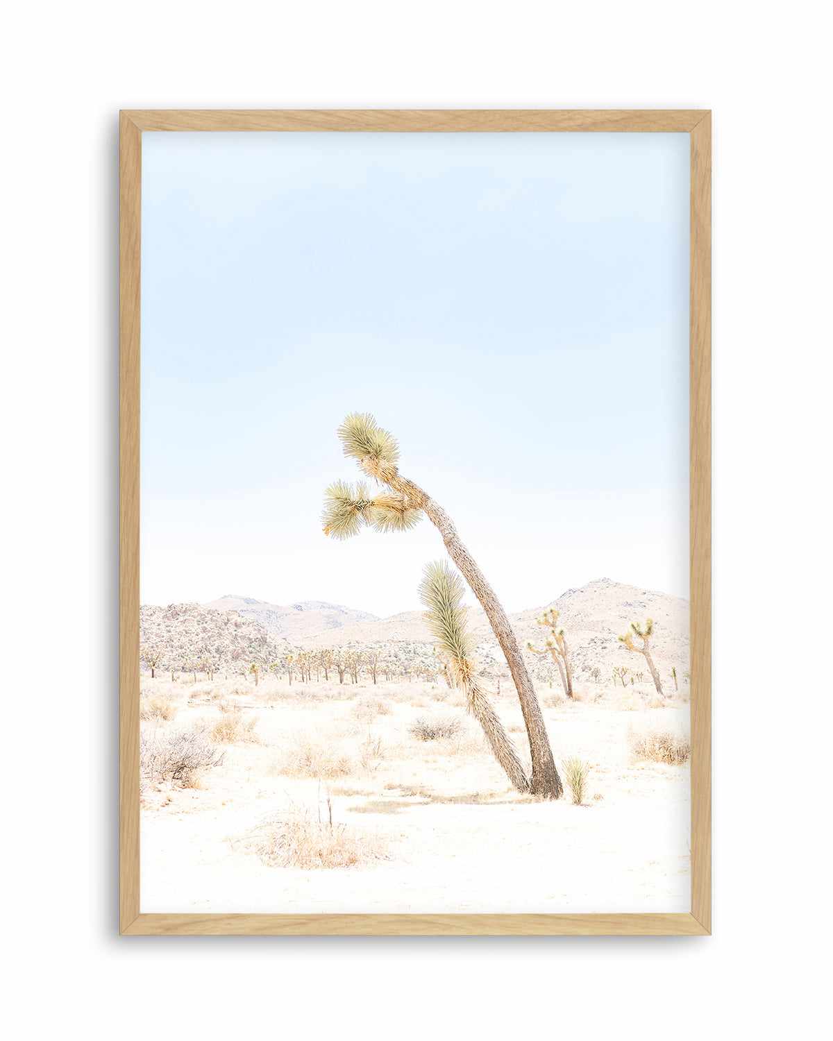 Joshua Tree III Art Print