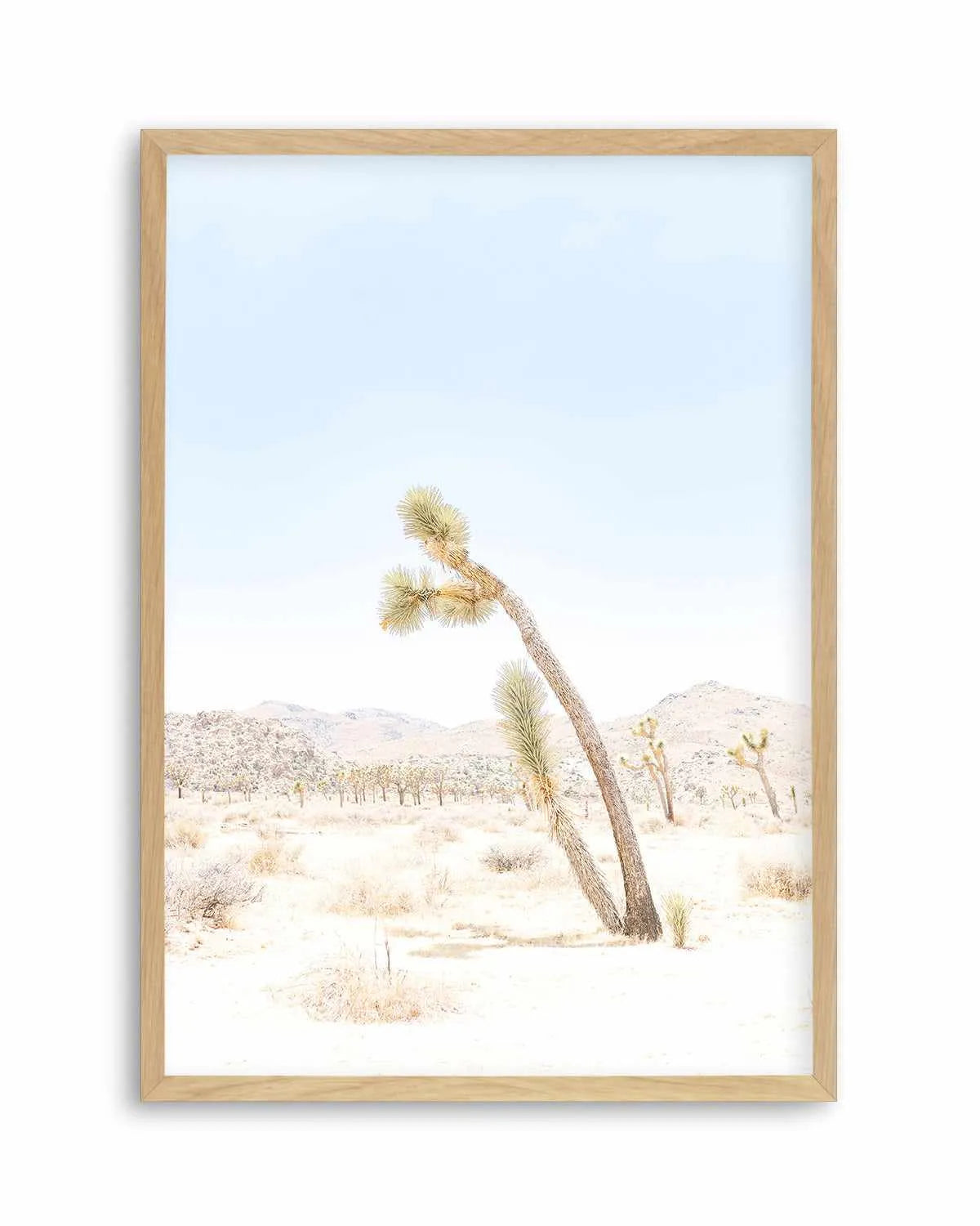 Joshua Tree III Art Print from Olive et Oriel where you can shop wallpaper and artworks online