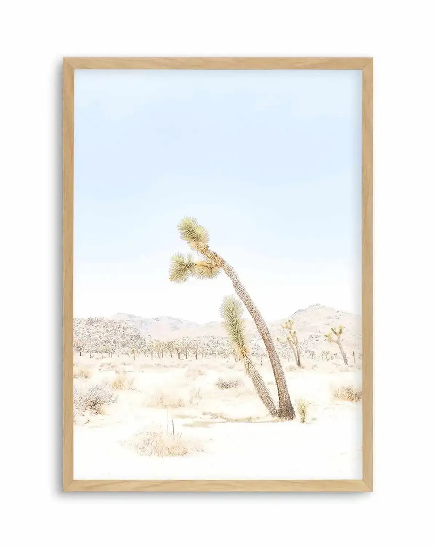 Joshua Tree III Art Print from Olive et Oriel where you can shop wallpaper and artworks online