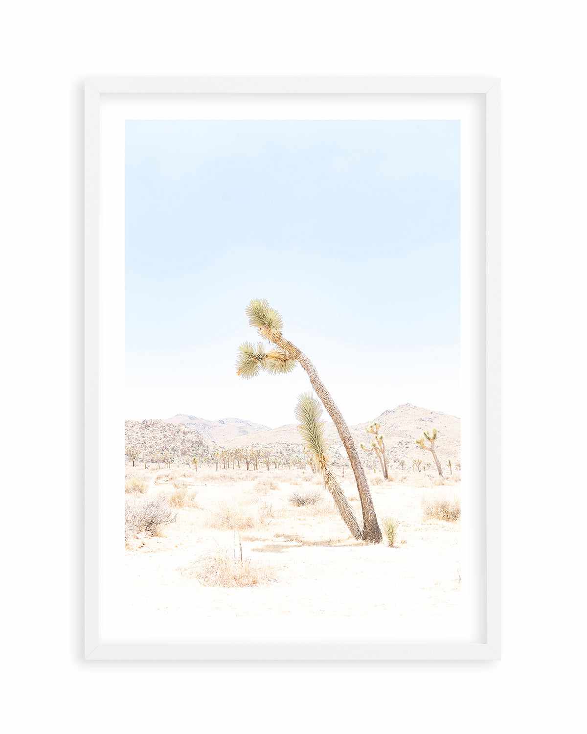 Joshua Tree III Art Print