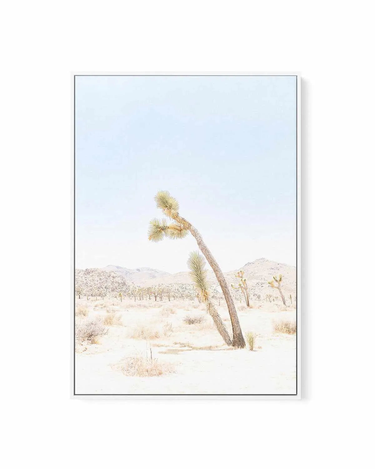 Joshua Tree III | Framed Canvas Art Print from Olive et Oriel where you can shop wallpaper and artworks online