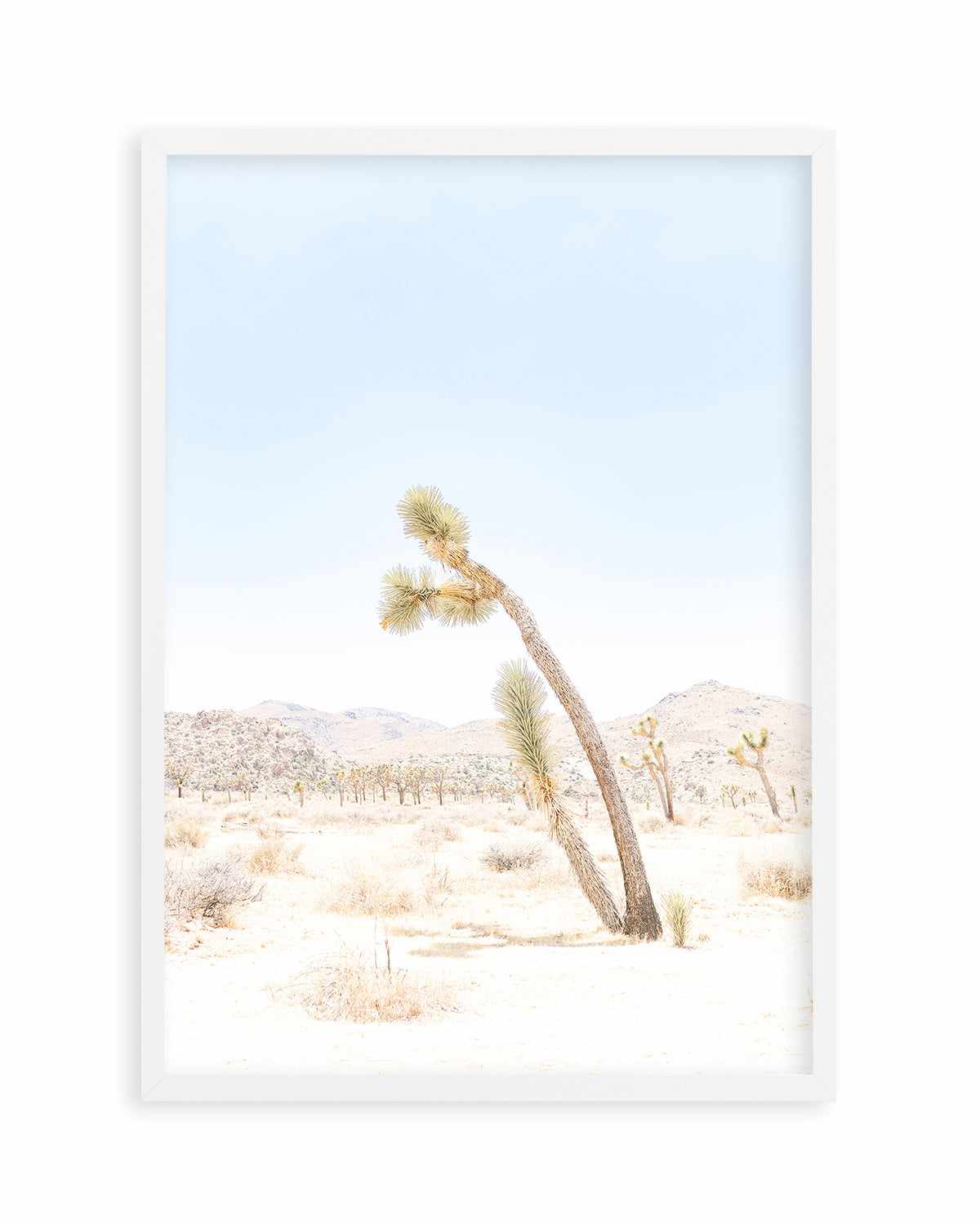 Joshua Tree III Art Print