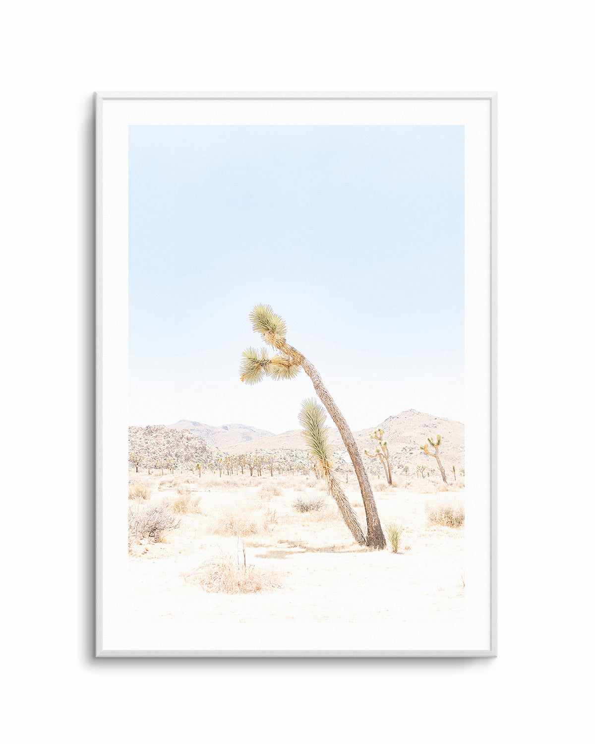 Joshua Tree III Art Print