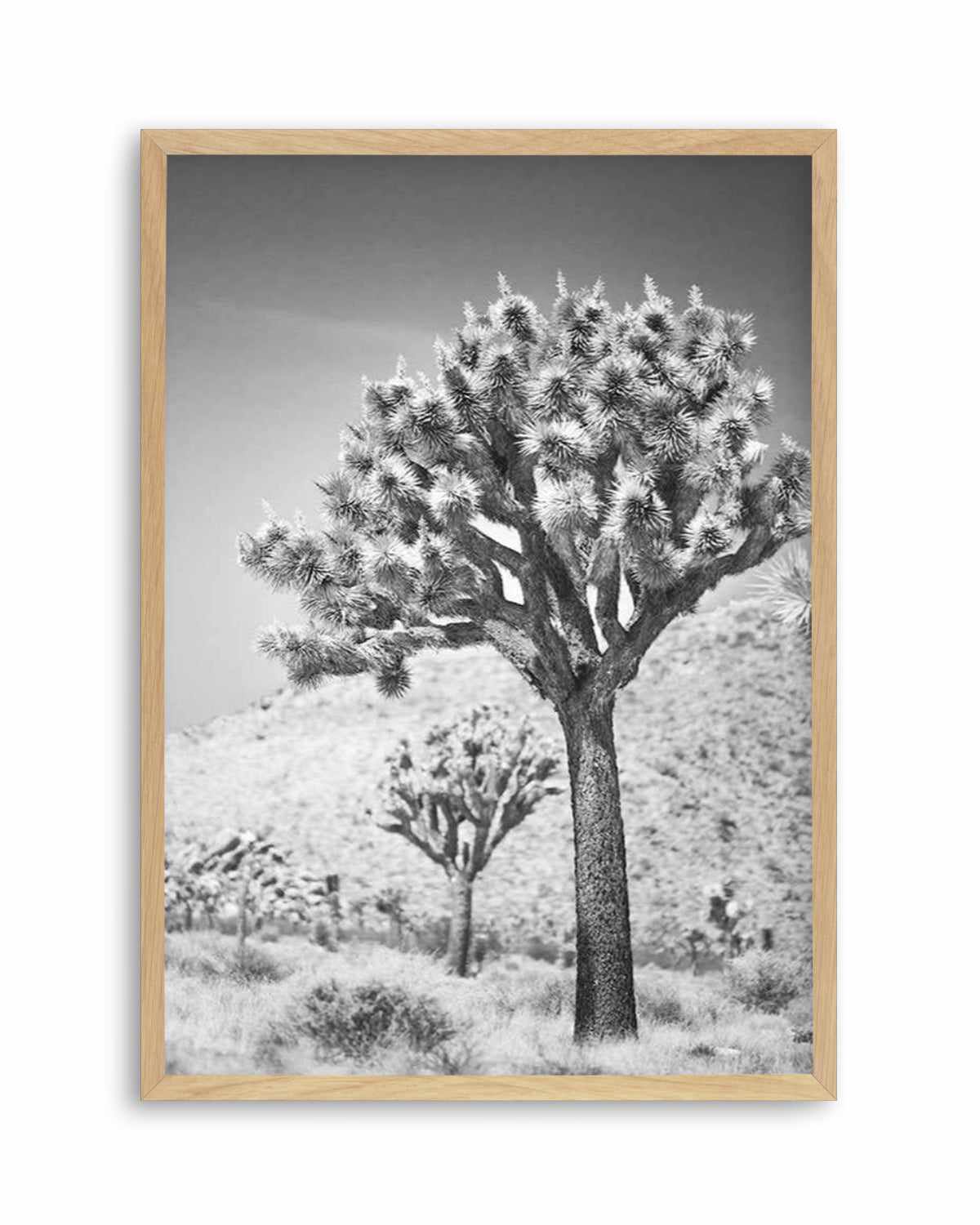 Joshua Tree III | B&W Art Print