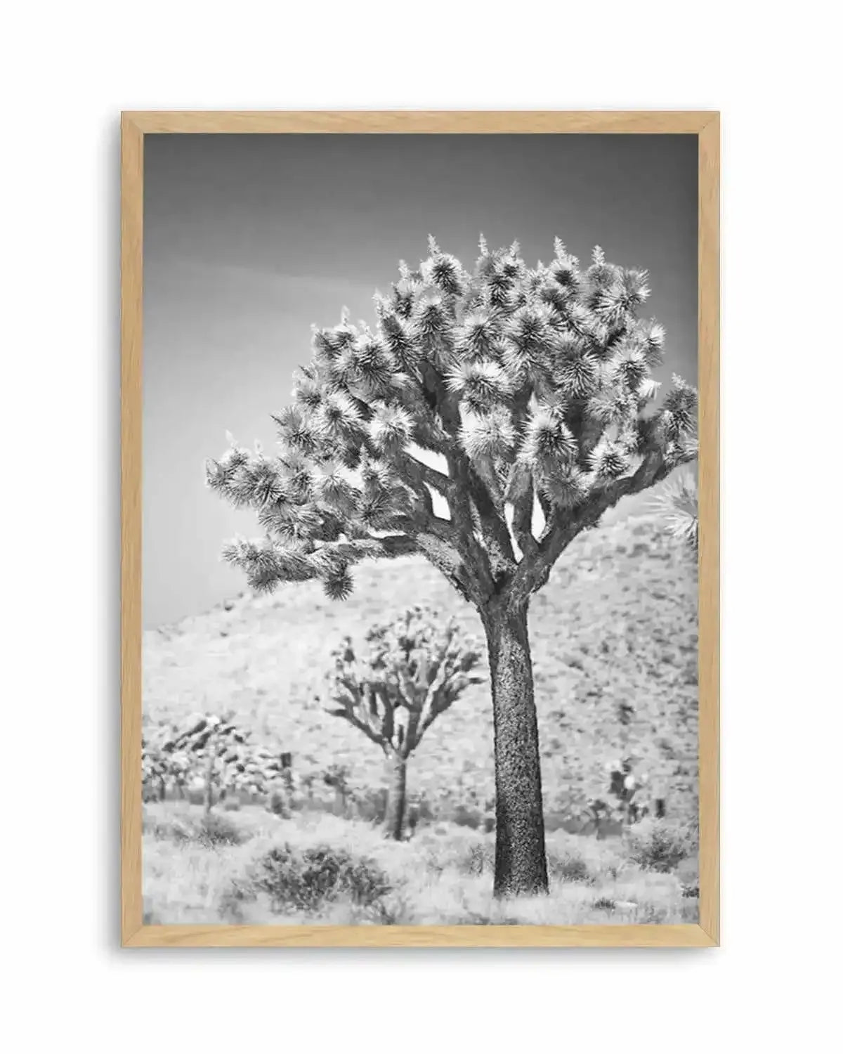 Joshua Tree III | B&W Art Print from Olive et Oriel where you can shop wallpaper and artworks online