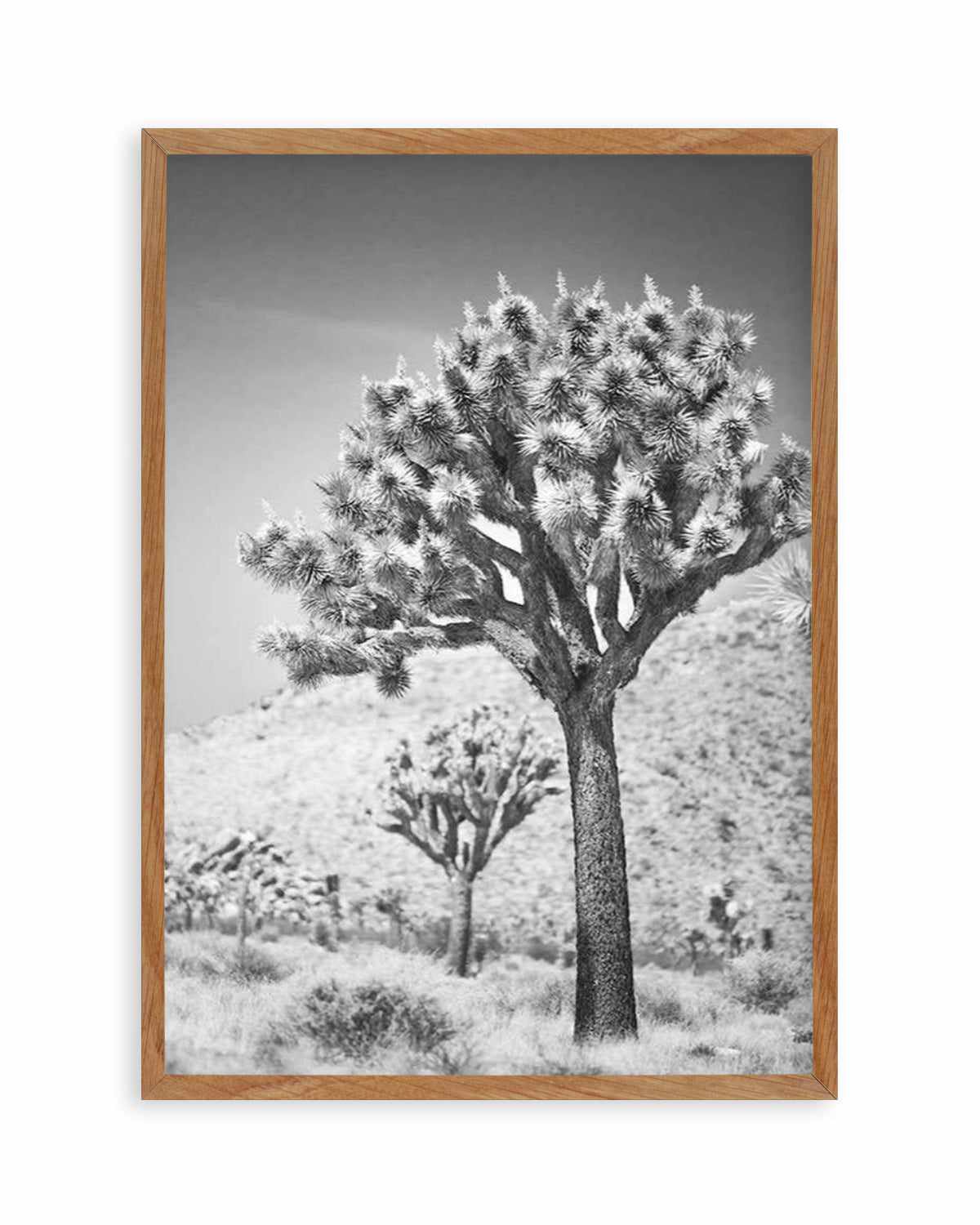 Joshua Tree III | B&W Art Print