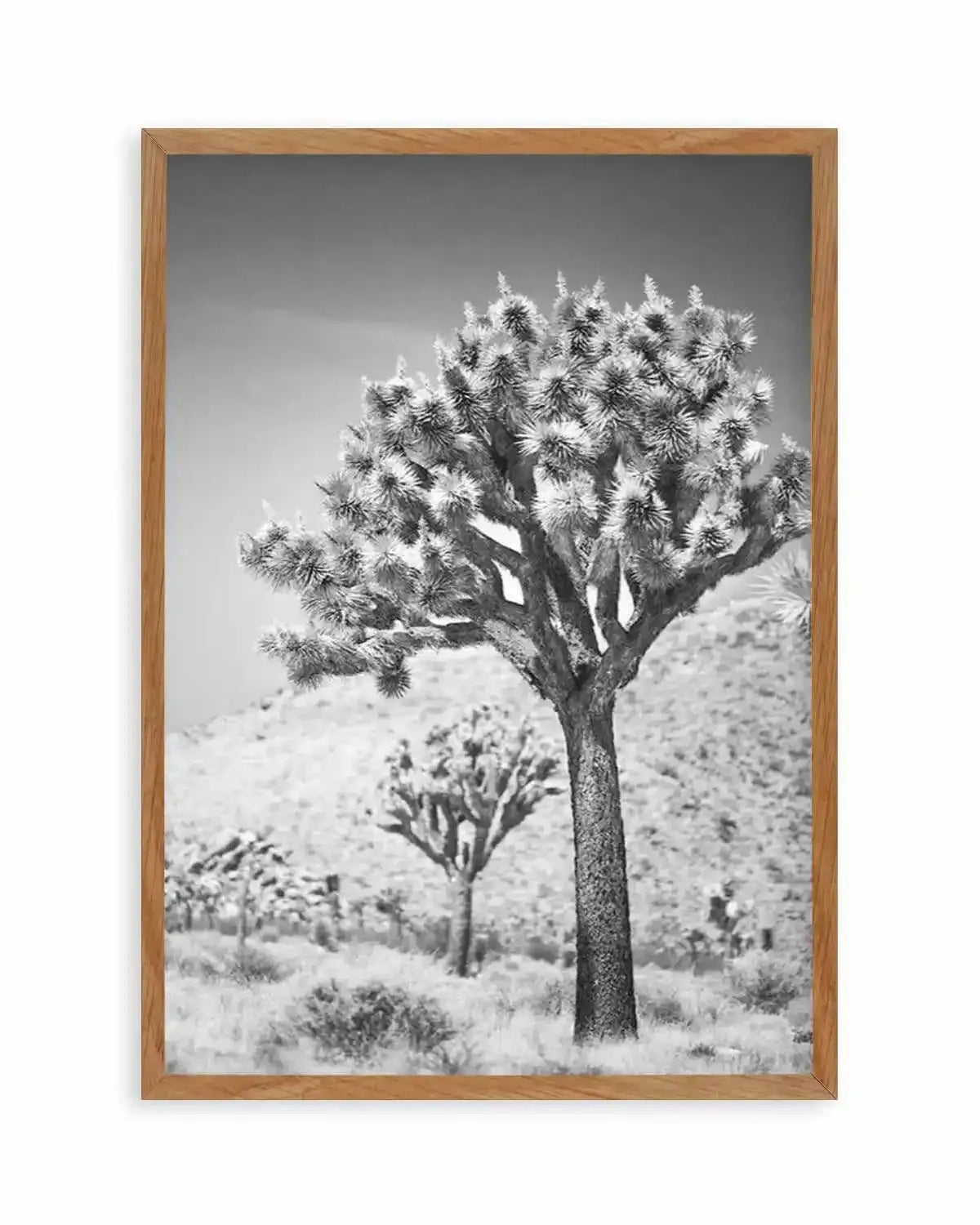 Joshua Tree III | B&W Art Print from Olive et Oriel where you can shop wallpaper and artworks online