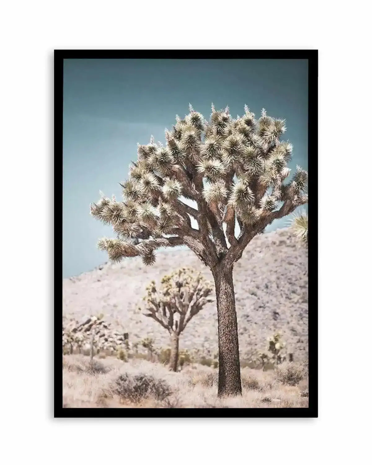 Joshua Tree III | Soft Art Print from Olive et Oriel where you can shop wallpaper and artworks online