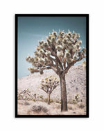 Joshua Tree III | Soft Art Print