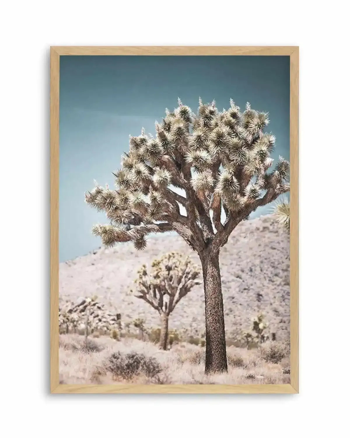 Joshua Tree III | Soft Art Print from Olive et Oriel where you can shop wallpaper and artworks online