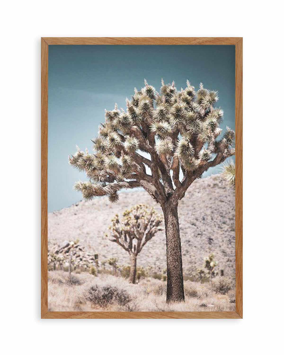 Joshua Tree III | Soft Art Print