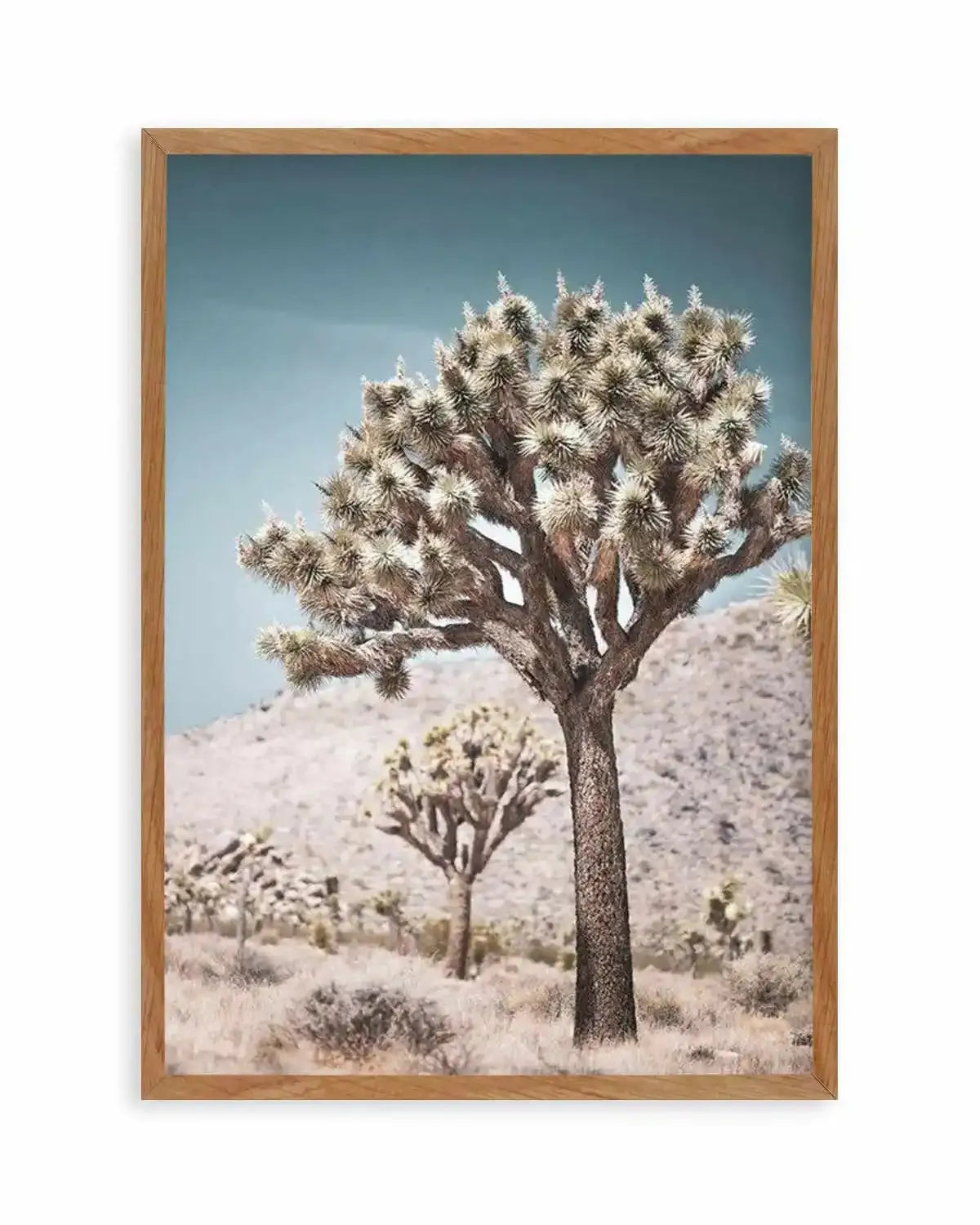Joshua Tree III | Soft Art Print from Olive et Oriel where you can shop wallpaper and artworks online