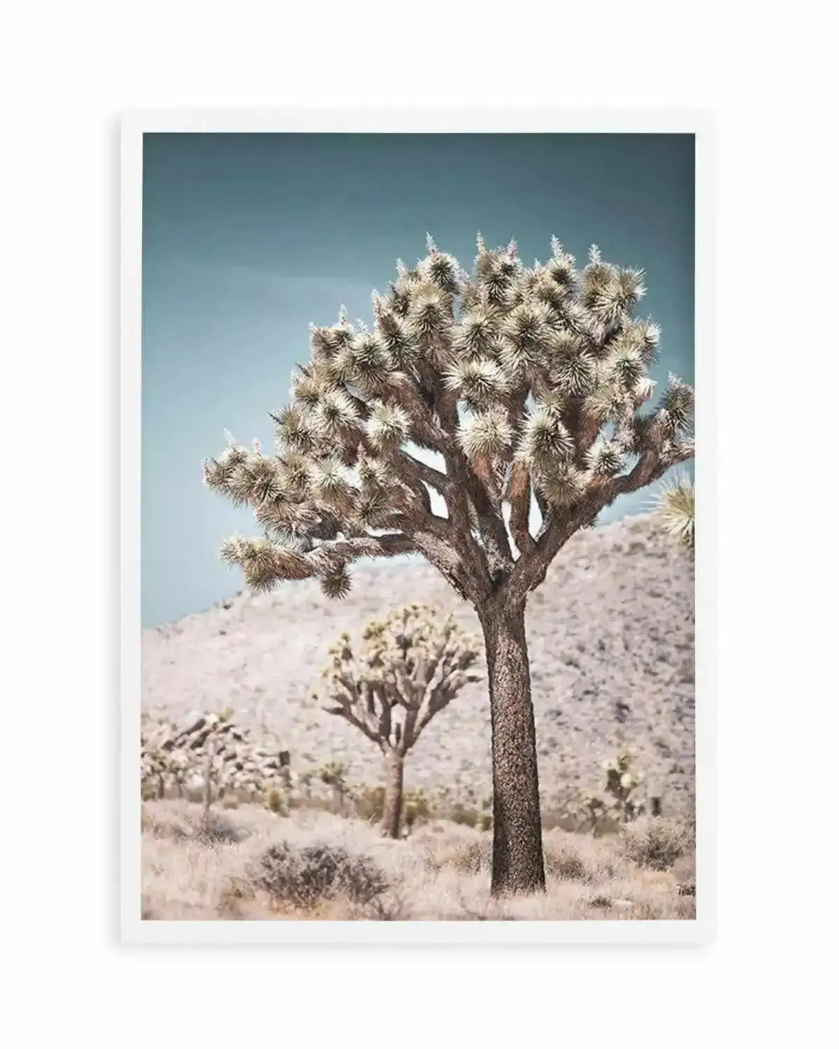 Joshua Tree III | Soft Art Print from Olive et Oriel where you can shop wallpaper and artworks online