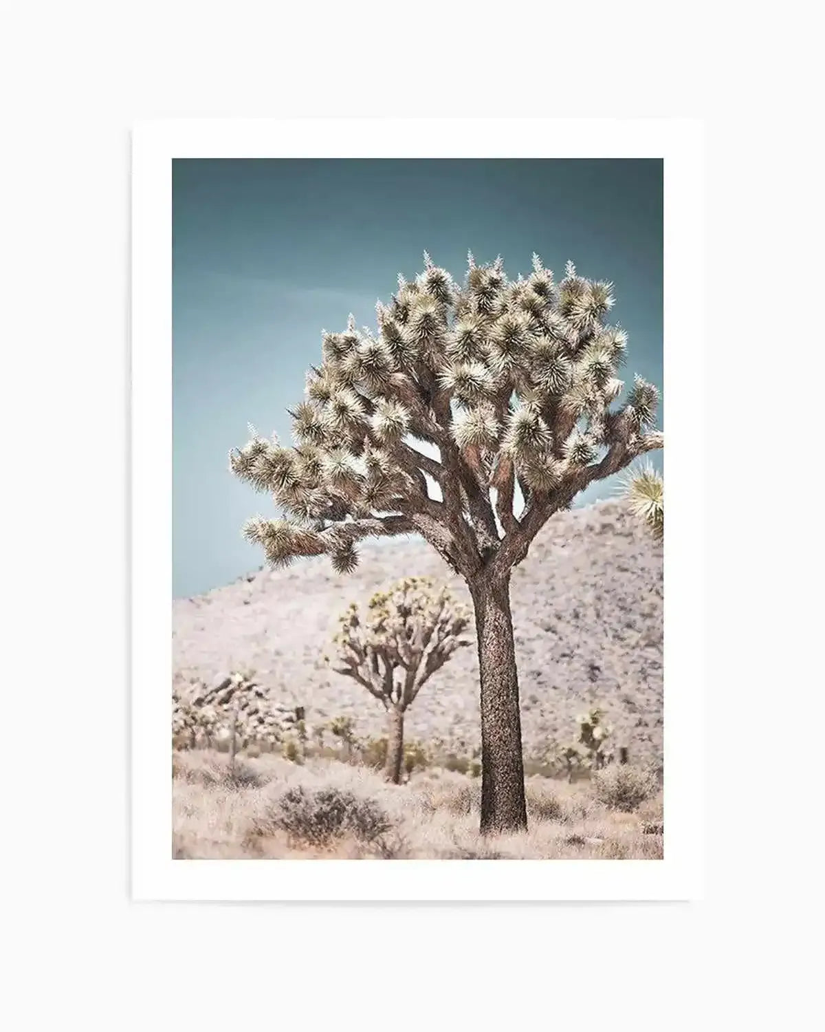 Joshua Tree III | Soft Art Print from Olive et Oriel where you can shop wallpaper and artworks online