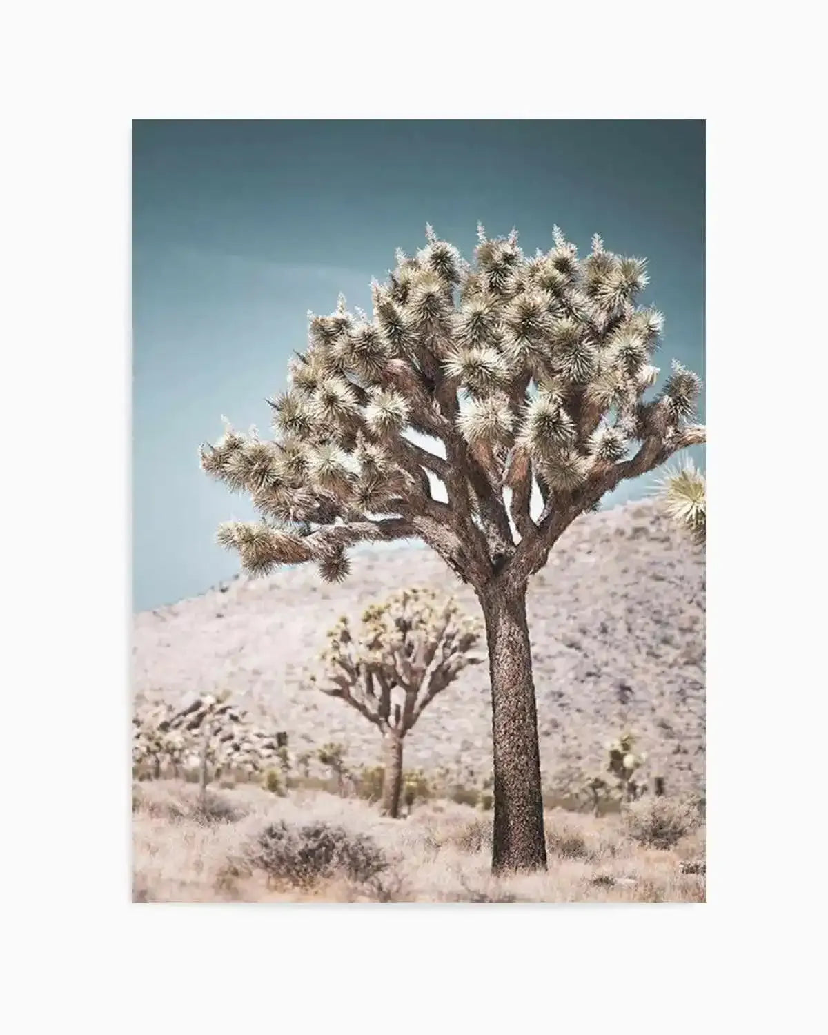 Joshua Tree III | Soft Art Print from Olive et Oriel where you can shop wallpaper and artworks online
