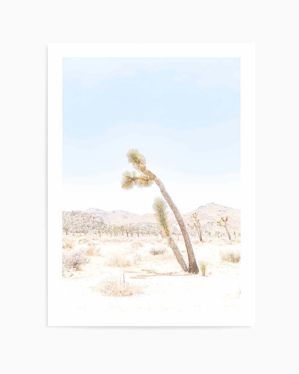 Joshua Tree III Art Print