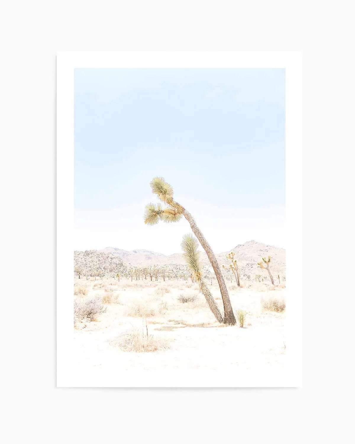Joshua Tree III Art Print from Olive et Oriel where you can shop wallpaper and artworks online