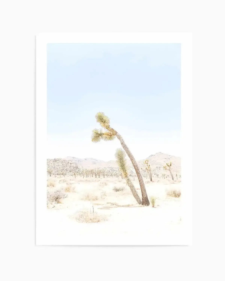 Joshua Tree III Art Print from Olive et Oriel where you can shop wallpaper and artworks online