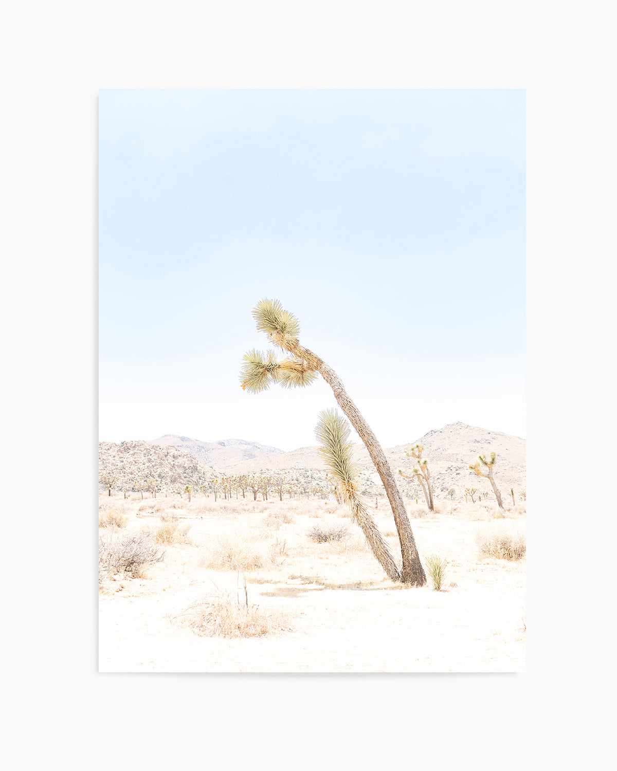 Joshua Tree III Art Print