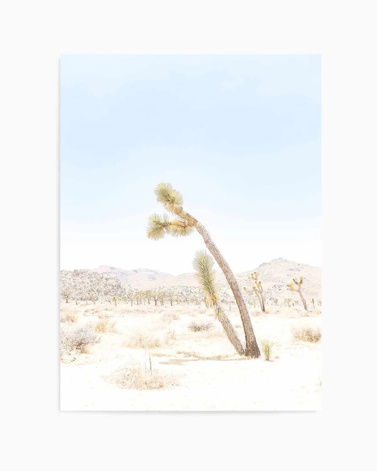 Joshua Tree III Art Print from Olive et Oriel where you can shop wallpaper and artworks online