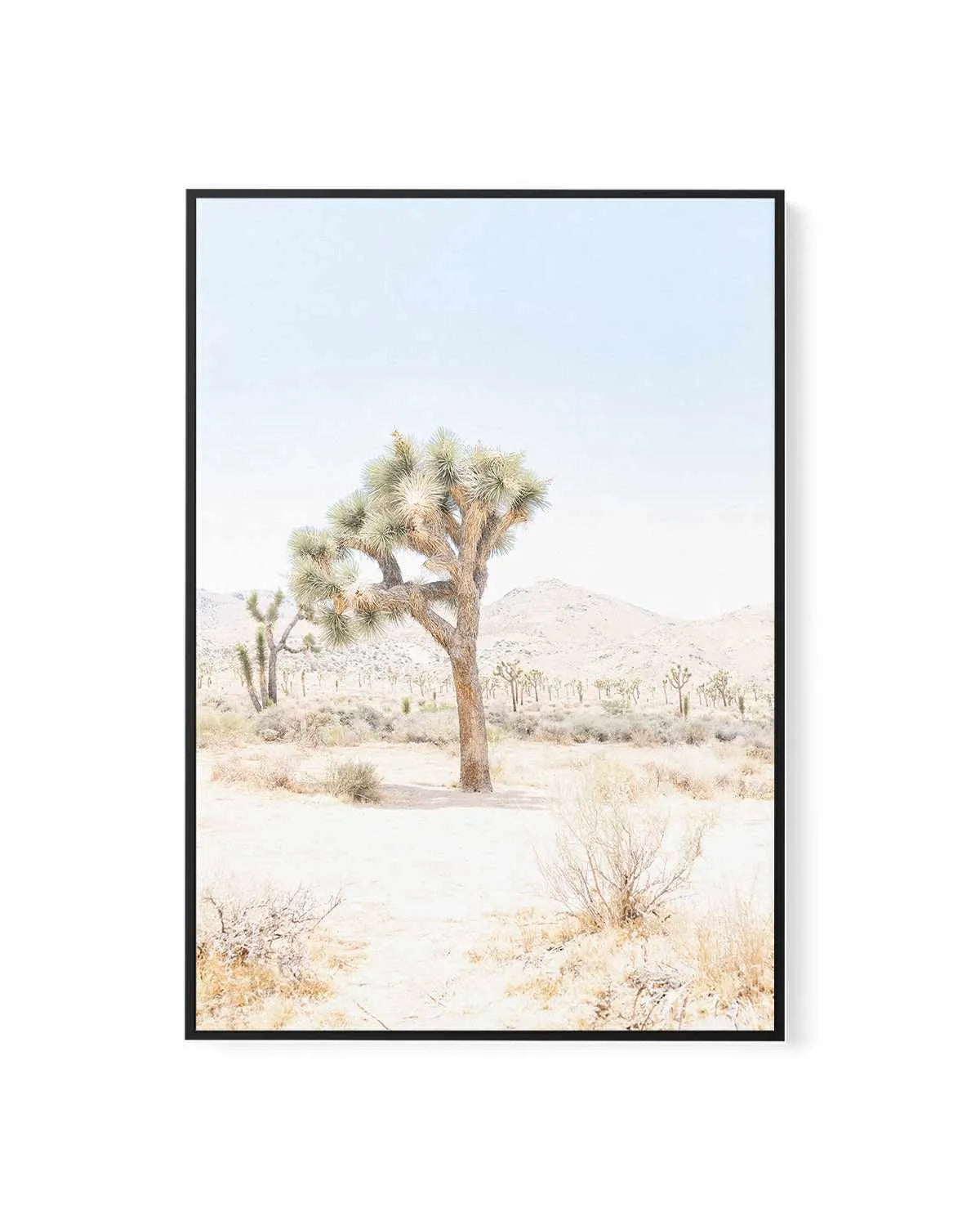 Joshua Tree IV | Framed Canvas Art Print from Olive et Oriel where you can shop wallpaper and artworks online