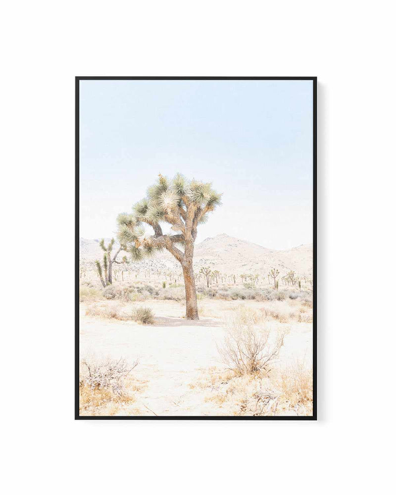 Joshua Tree IV | Framed Canvas Art Print