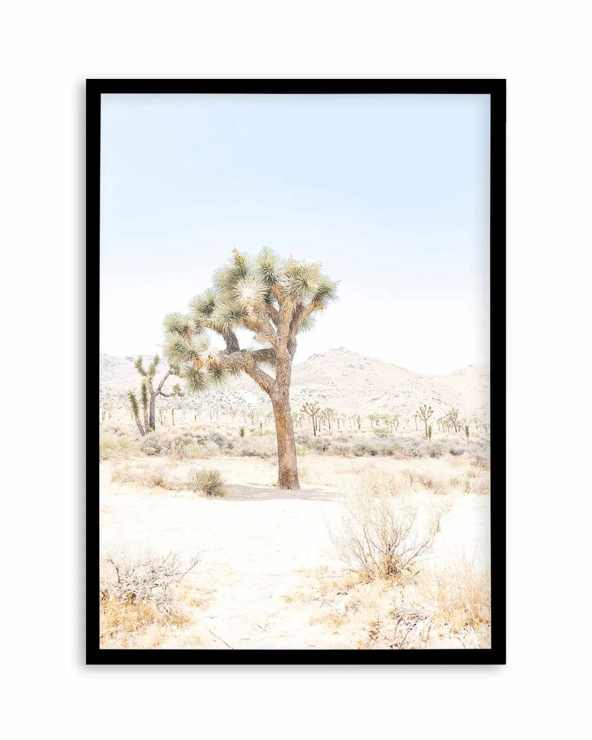 Joshua Tree IV Art Print from Olive et Oriel where you can shop wallpaper and artworks online