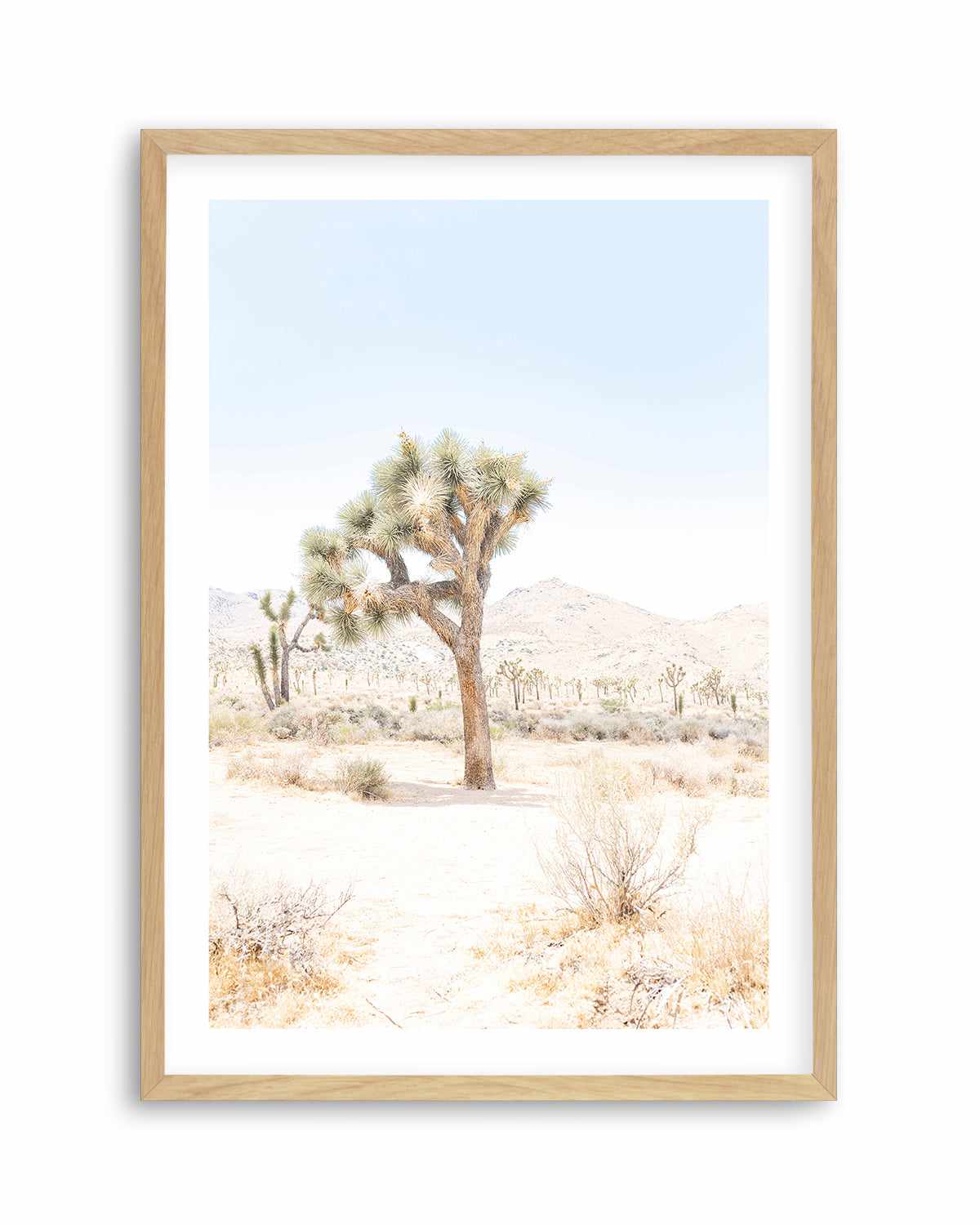 Joshua Tree IV Art Print