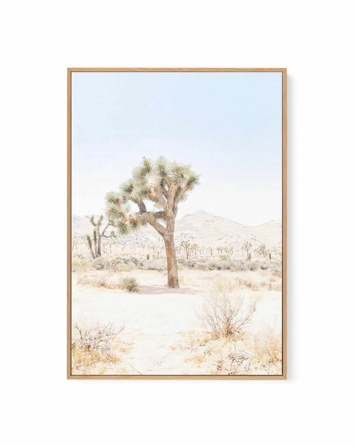 Joshua Tree IV | Framed Canvas Art Print from Olive et Oriel where you can shop wallpaper and artworks online