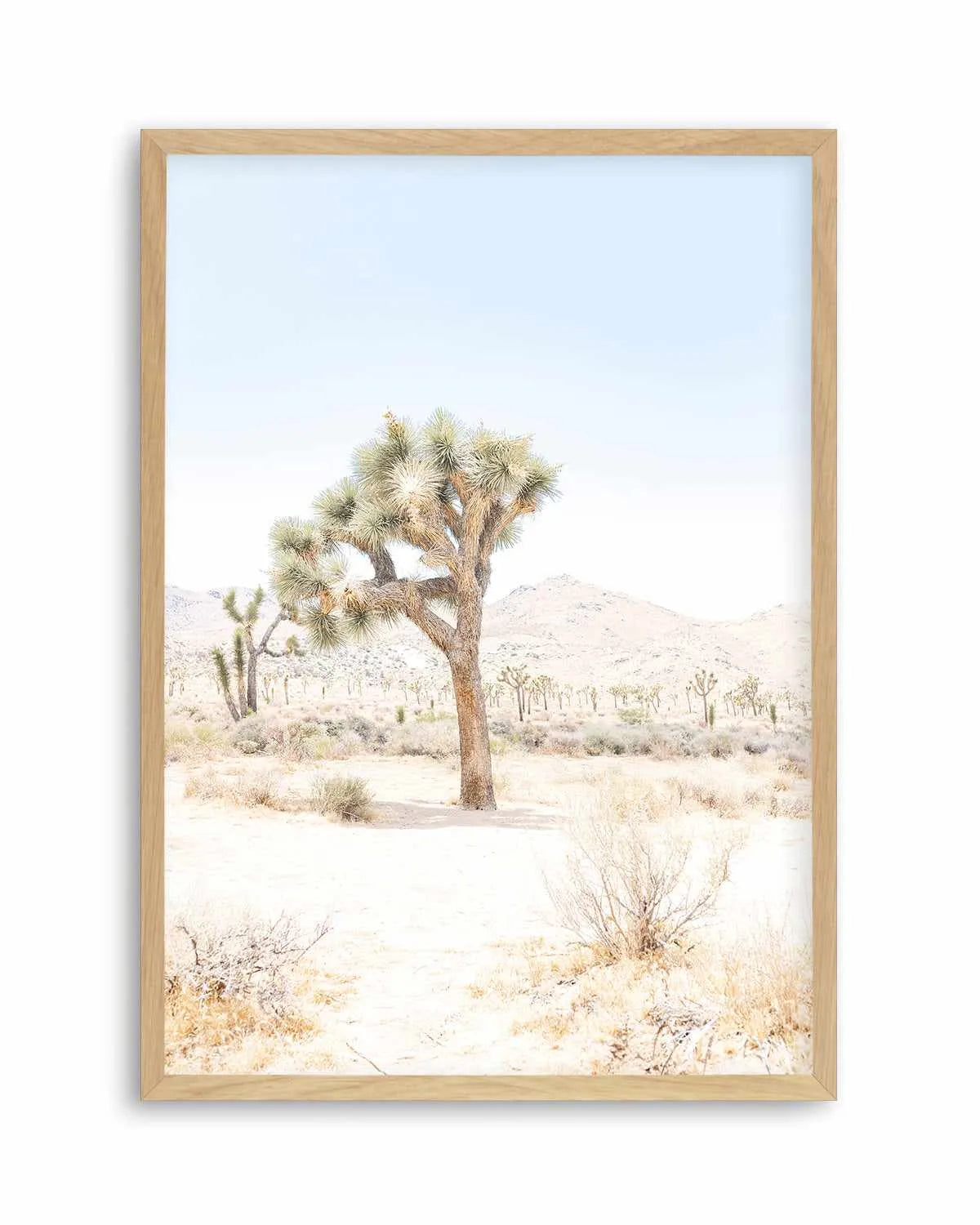 Joshua Tree IV Art Print from Olive et Oriel where you can shop wallpaper and artworks online