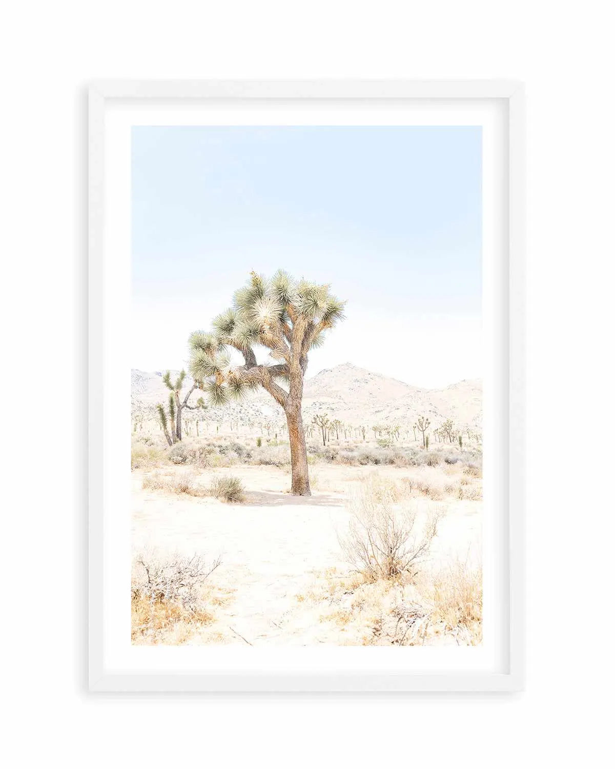 Joshua Tree IV Art Print from Olive et Oriel where you can shop wallpaper and artworks online