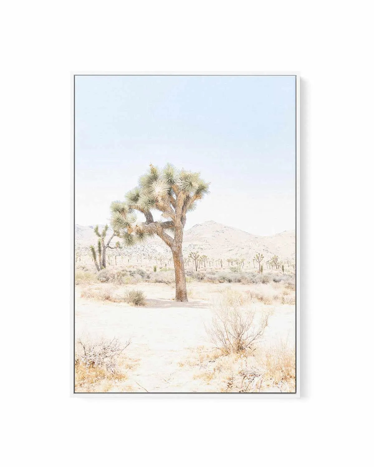Joshua Tree IV | Framed Canvas Art Print from Olive et Oriel where you can shop wallpaper and artworks online