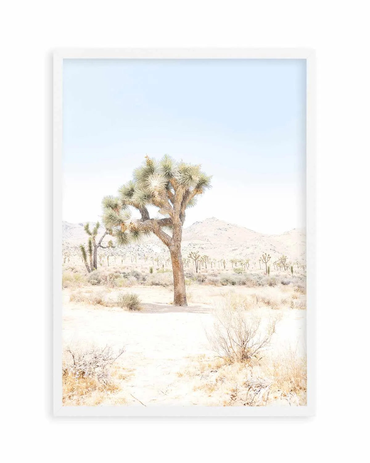 Joshua Tree IV Art Print from Olive et Oriel where you can shop wallpaper and artworks online