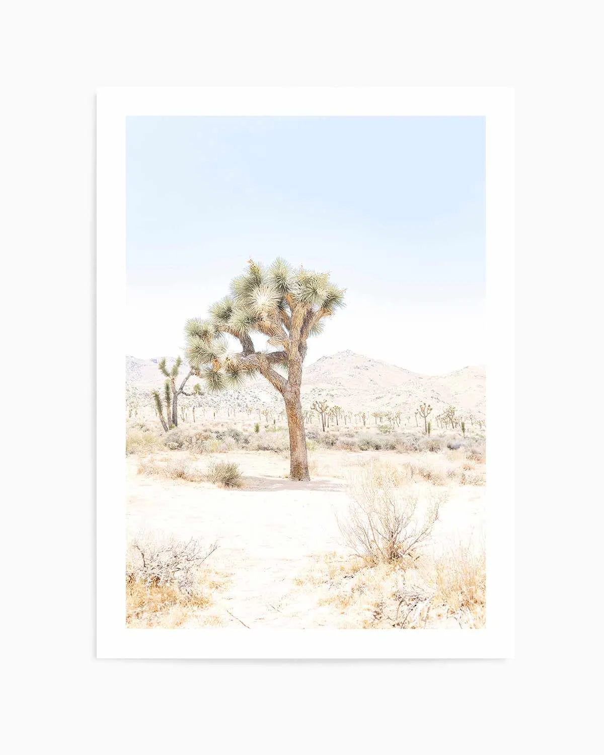 Joshua Tree IV Art Print from Olive et Oriel where you can shop wallpaper and artworks online