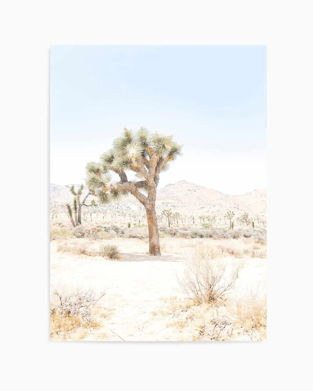 Joshua Tree IV Art Print from Olive et Oriel where you can shop wallpaper and artworks online