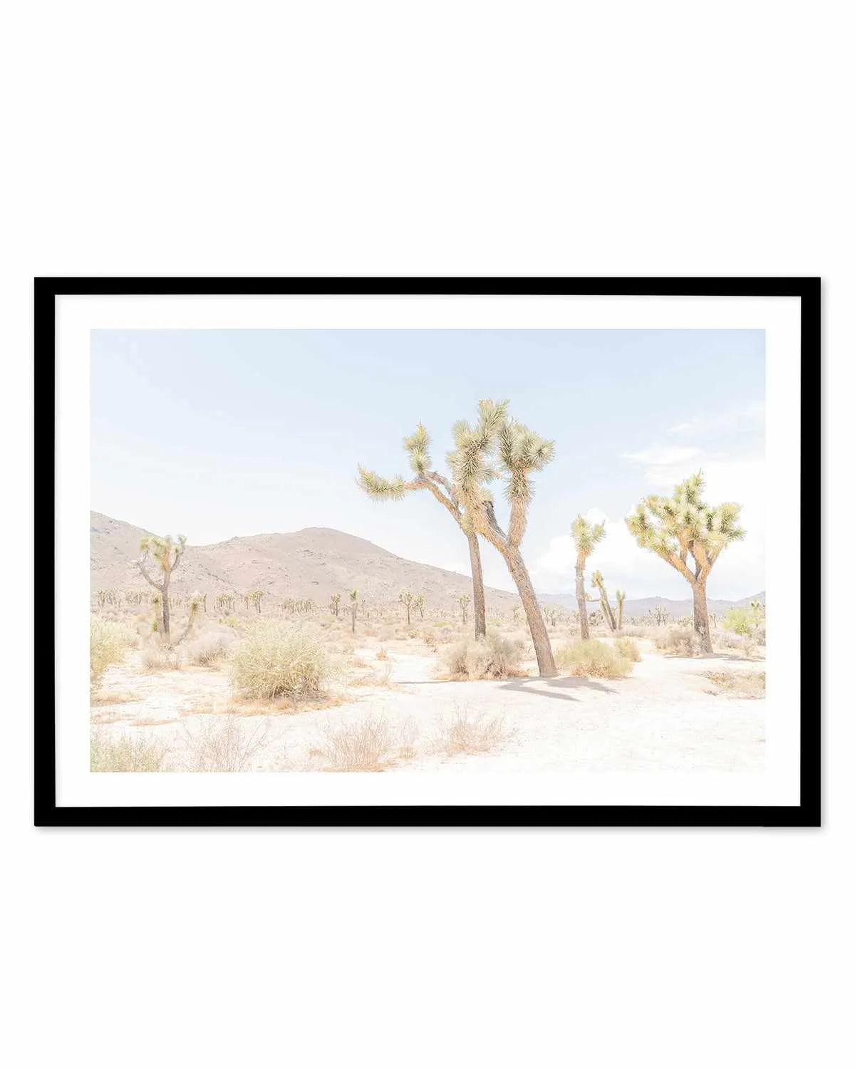 Joshua Tree Into the Desert I Art Print from Olive et Oriel where you can shop wallpaper and artworks online